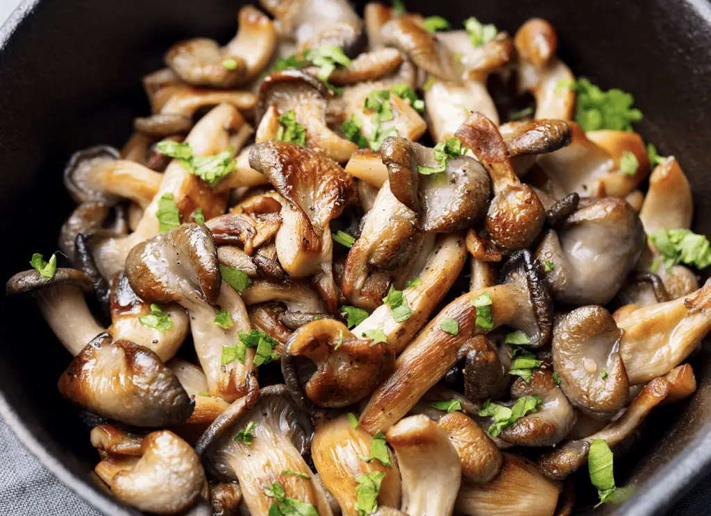 Oyster Mushroom Recipe: Delicious and Easy Cooking Ideas